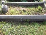 image of grave number 439120